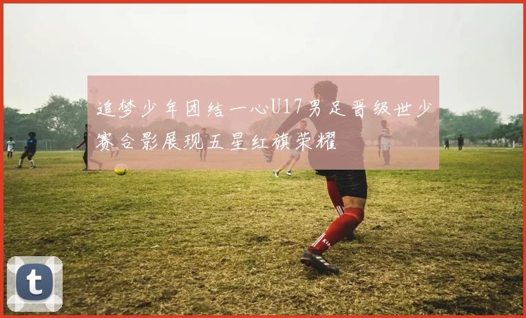 追梦少年团结一心U17男足晋级世少赛合影展现五星红旗荣耀